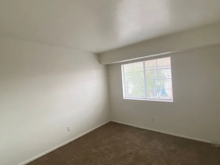 275 Star Cluster Cir — Photo 26