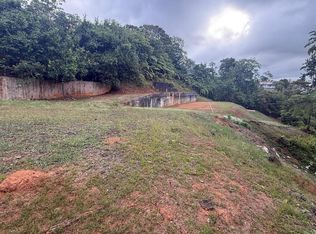 Bo Cedro Arriba Carr 809 Km 2 #HOME 2, Naranjito, PR 00719