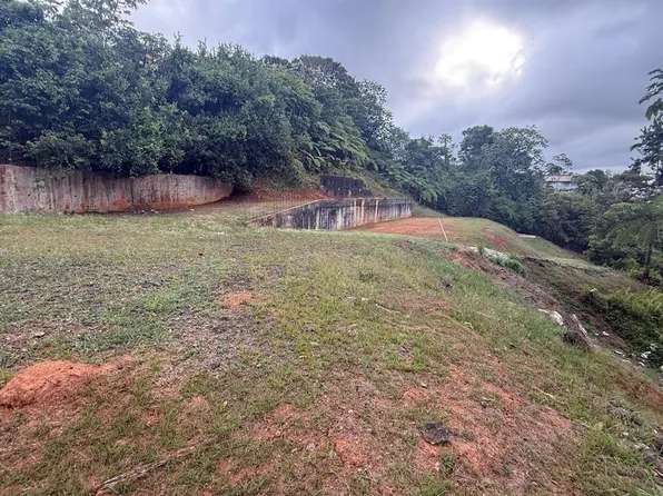 BO CEDRO ARRIBA CARR 809, KM 2  HM 2 INTERIOR, NAR, NARANJITO, PR 00719