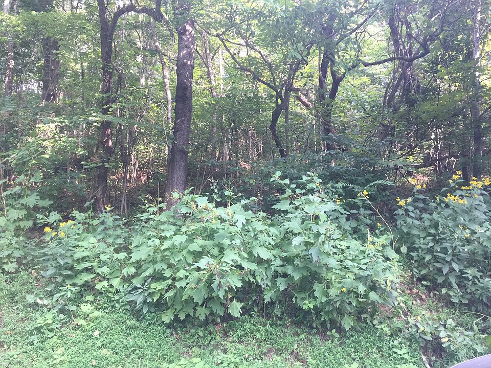 1st image of 0 Sycamore Shoals Dr #7
