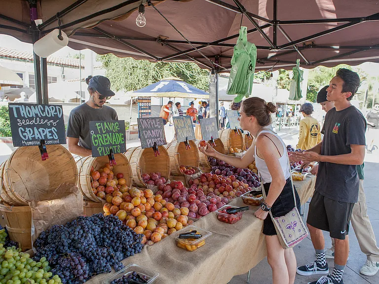 Pick up fresh fruits and veggies from the farmer's market