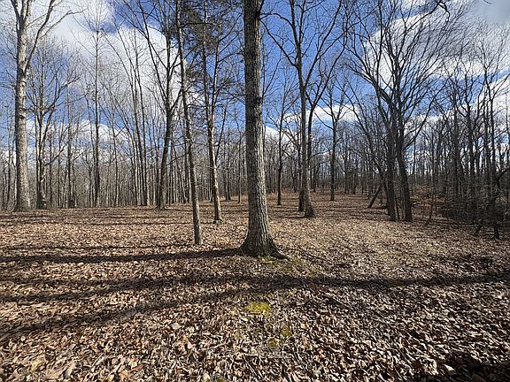 2nd image of 0 Daniel Rd