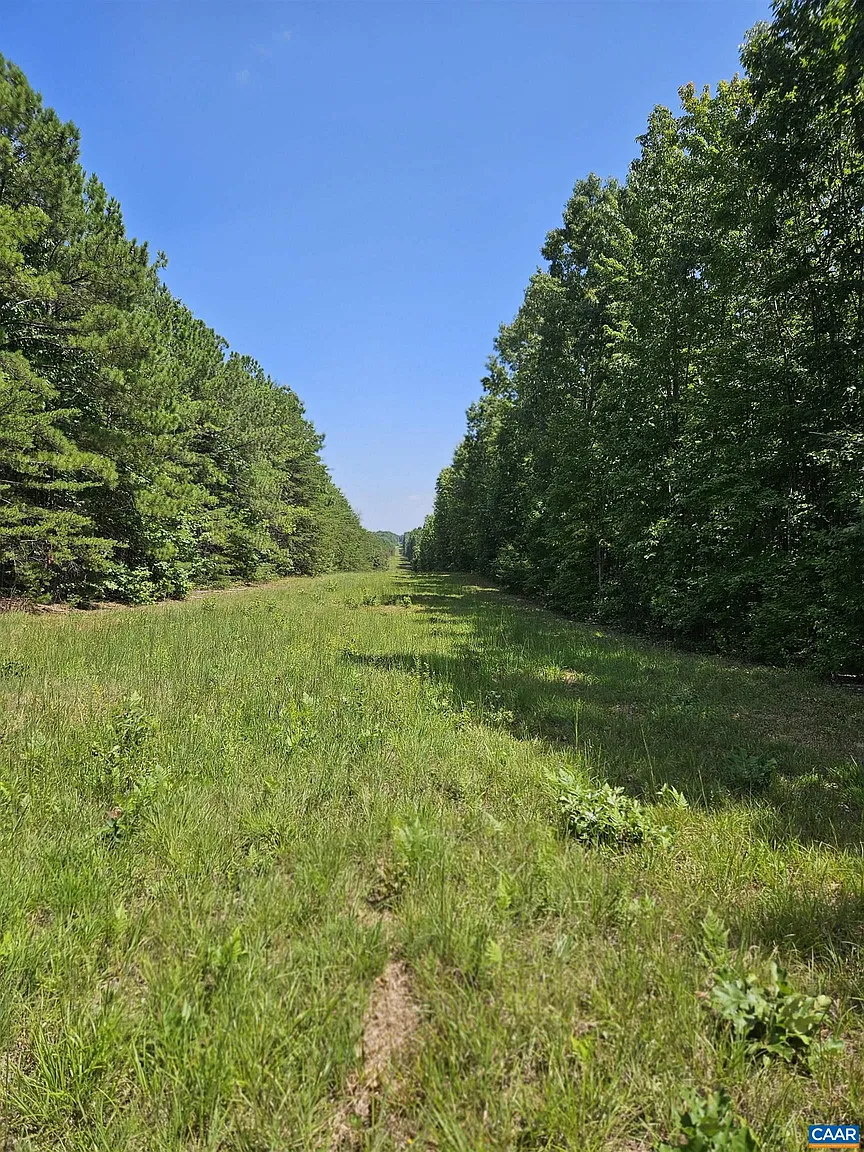 W James Anderson Hwy photo 1
