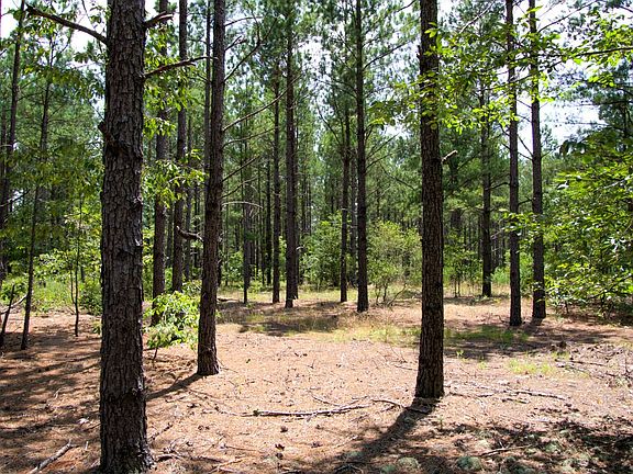 Compass South Land Sales Old Georgetown Road Lot A 3