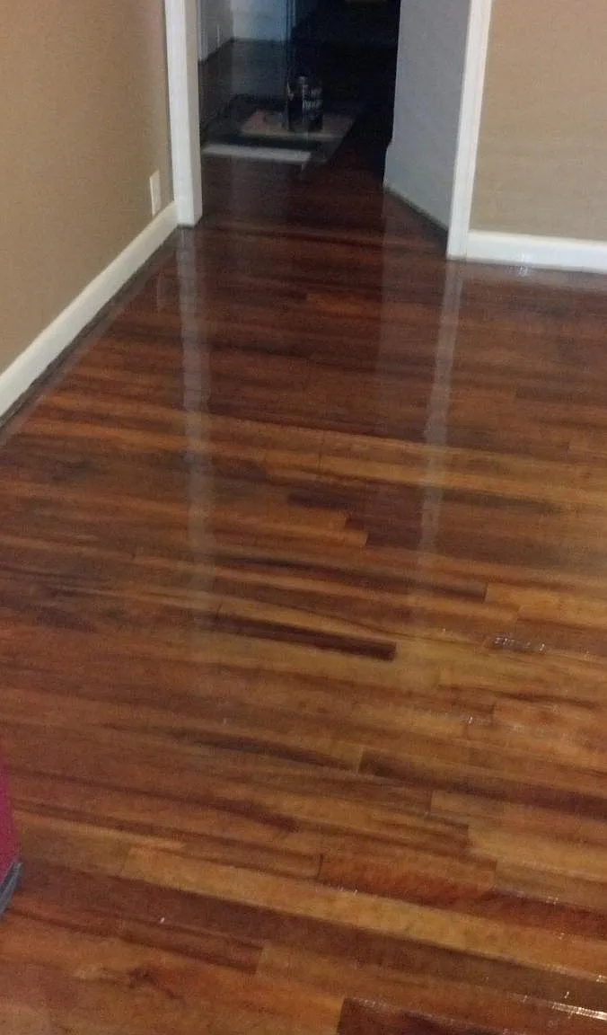 2 bed, $1,595 — Photo 3