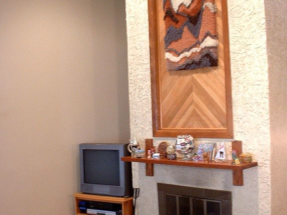 Living Room - Wood Burning Fireplace