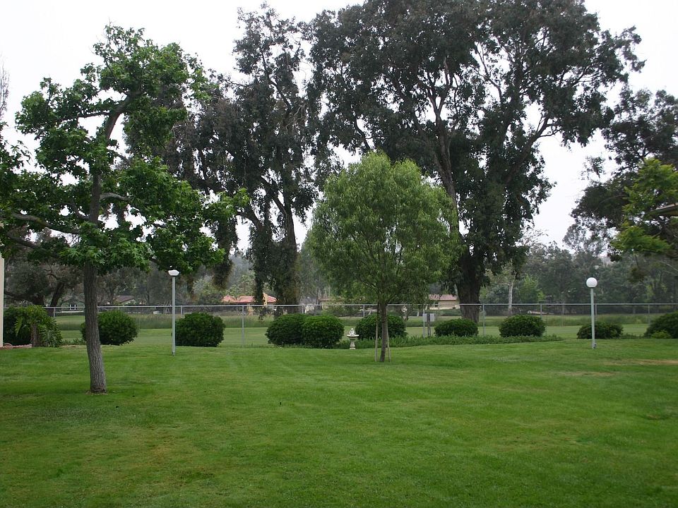 Beautiful Golf Course View