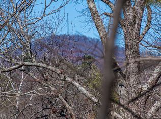 064AC Stegall Mill Trl, Ellijay, GA 30536