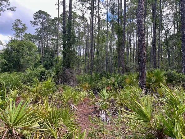 James St Lot 40, Hastings, FL 32145