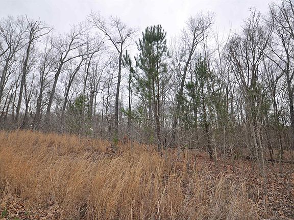 3rd image of 0 Hills Hollow Rd Lot 20