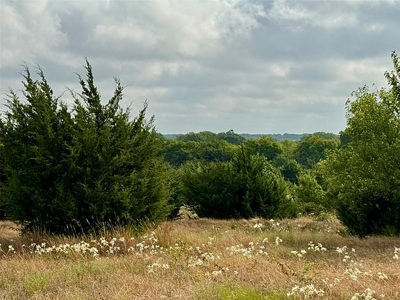 5th image of LOT 21 County Road 3356