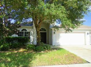 8226 Swann Hollow Dr, Tampa, FL 33647