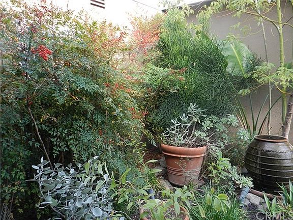 Lovely Gardening Near Entry