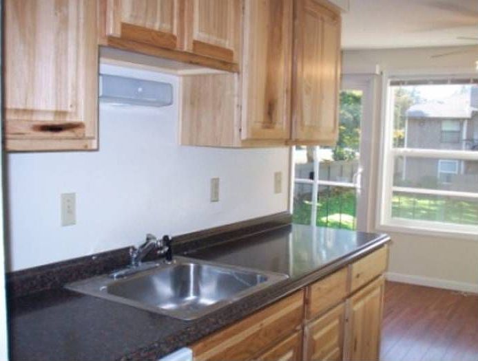 Hicory cabinets & no-show countertops