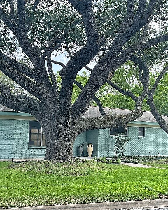 Shaded by ancient oaks
