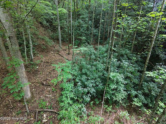 2nd image of 00 Collett Creek Road