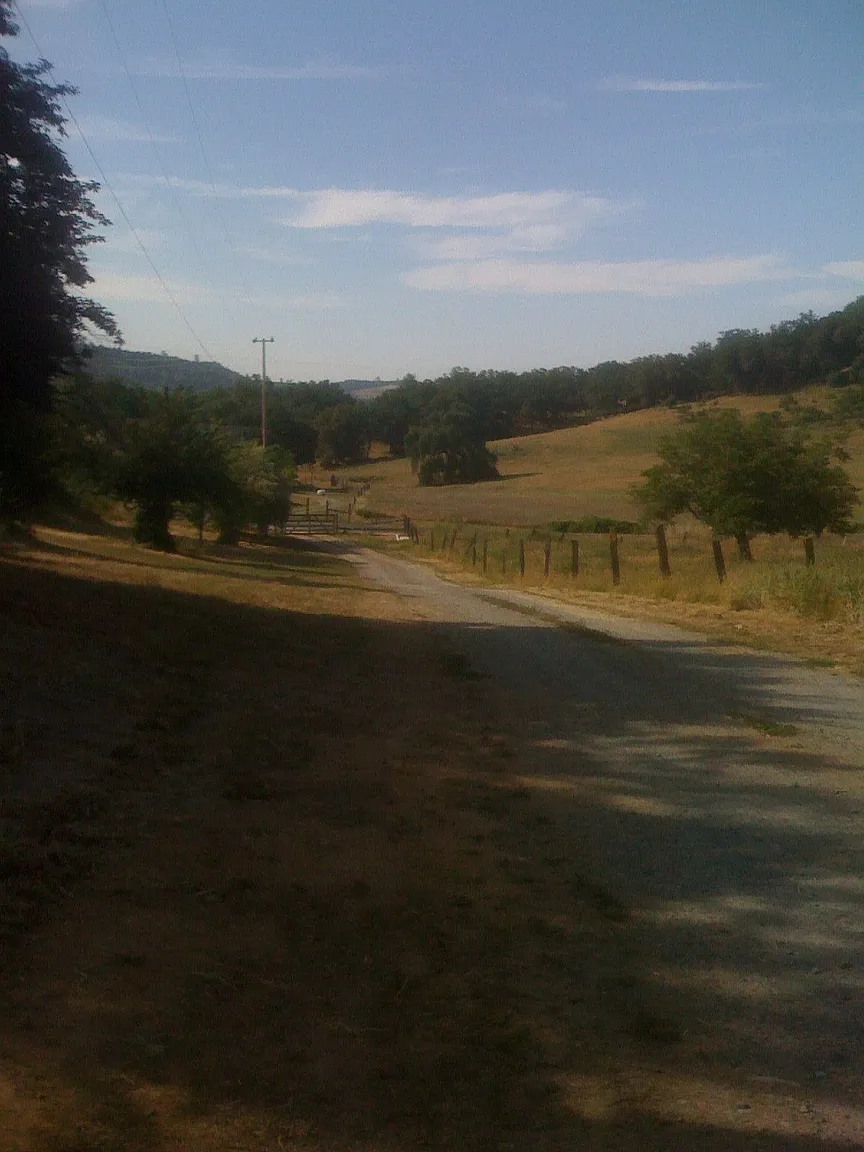 8926 Fraguero Rd photo 1