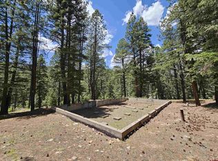 37 Enchanted Forest Dr, Bayfield, CO 81122