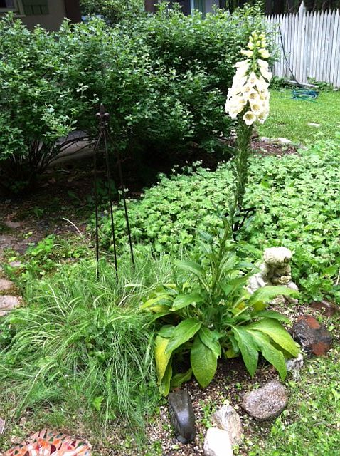 entry garden