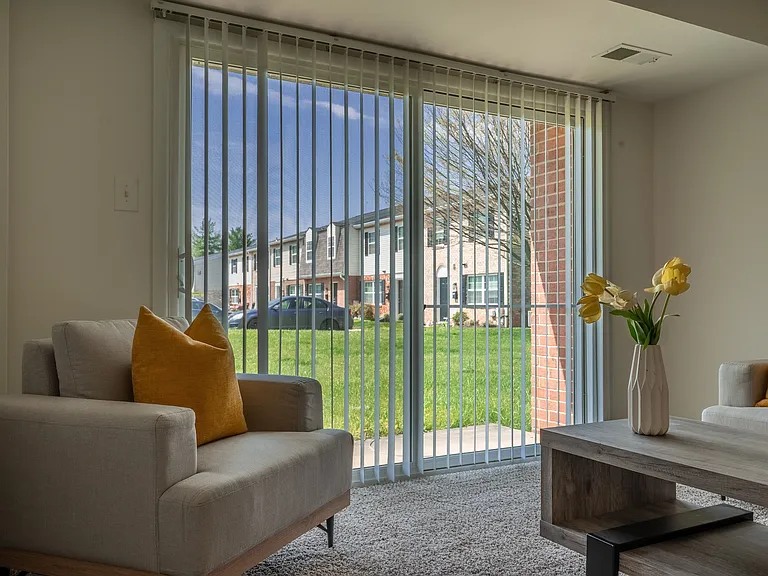 Living Area/Patio-Partially Renovated