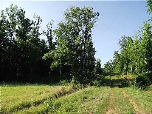 2nd image of 418 Charles Ward Way
