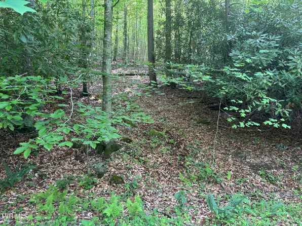 6B Roan Creek Rd, Butler, TN 37640