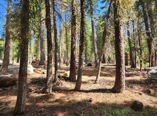 66 Silver Tip Dr, Arnold, CA 95223