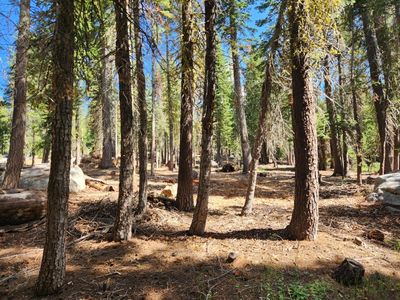 66 Silver Tip Dr, Arnold, CA, 95223