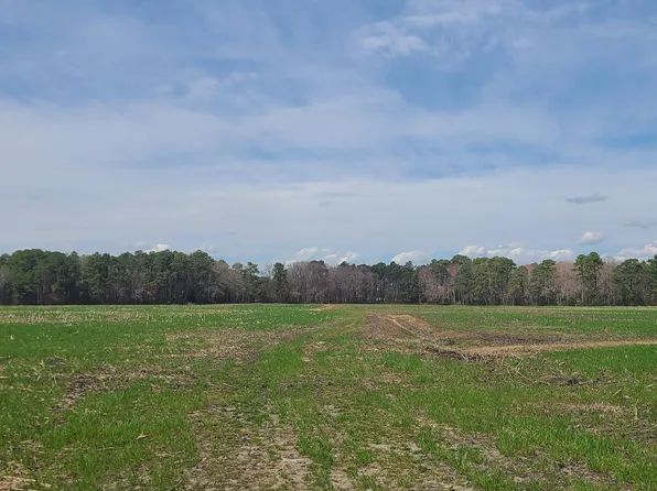 0 Sims Rd, Whaleyville, MD 21872