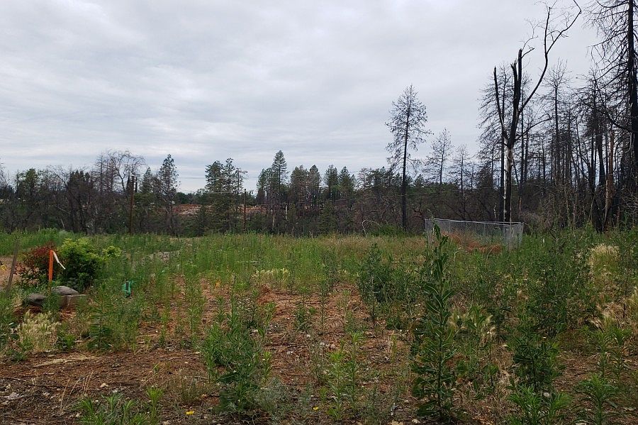 2nd image of 5523 Garden View Ln