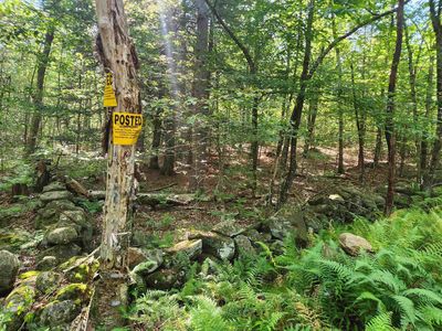 Lot 18-1 Old Coach Road, Fitzwilliam, NH, 03447