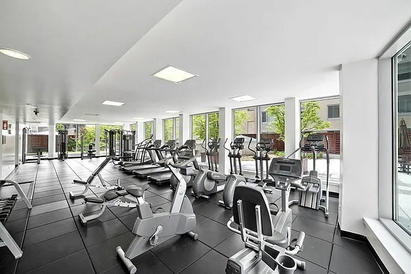 Rented by Douglas Elliman | media 8