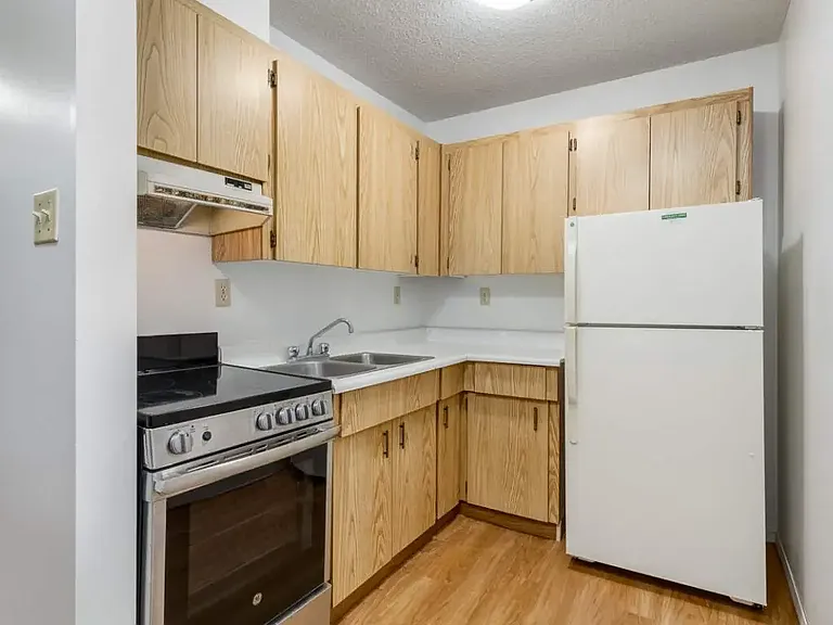 35 Wood Lily Dr — Photo 10
