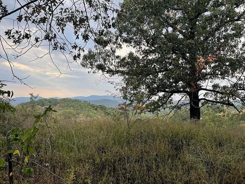 Nc 4054, Western Grove, AR 72685 Zillow