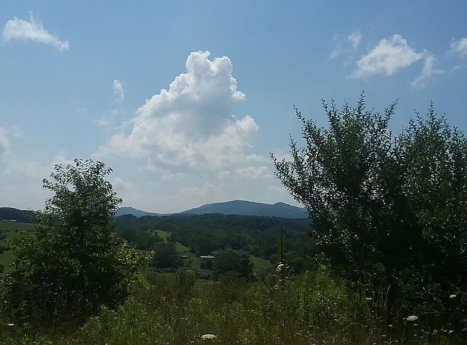 view from the old home site 