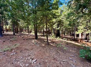 2855 Zuni Dr, Arnold, CA 95223