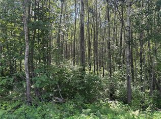 Lot 1 West Nelson Lake Road, Hayward, WI 54843