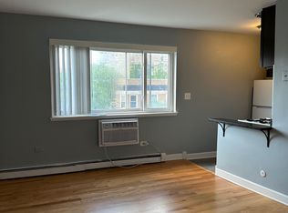663-108 W Grace St #663, Chicago, IL 60613