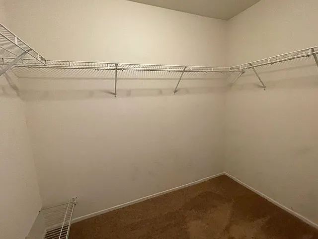 33032 Sotelo Dr — Photo 23