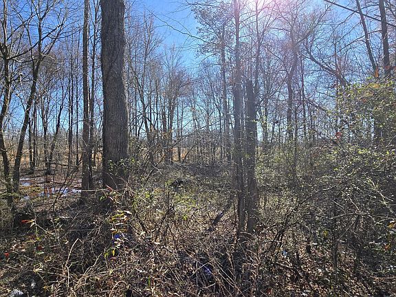 4th image of 1114 Spring Creek Cir