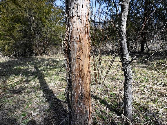 2nd image of 0 Riley Rd