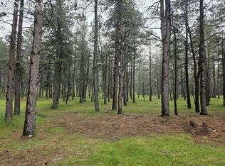 555 Discovery Ln, Westcliffe, CO 81252