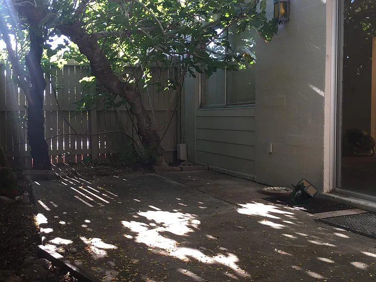 Lovely, peaceful private back patio with mature fig and other trees.