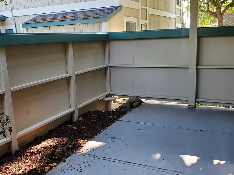 Live Oak Apartments — Photo 153