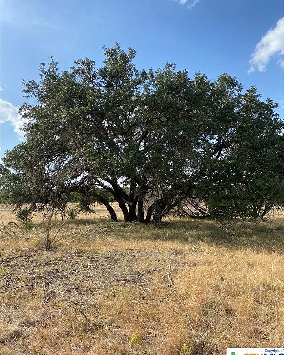1st image of 2701 Fm 32 Hwy #B