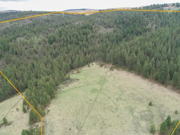 Xx Egypt Loop Road E Wildlife Rdg, Davenport, WA 99122