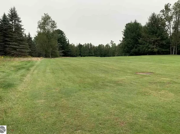 LOT 3 Fairway Ln, Cadillac, MI 49601