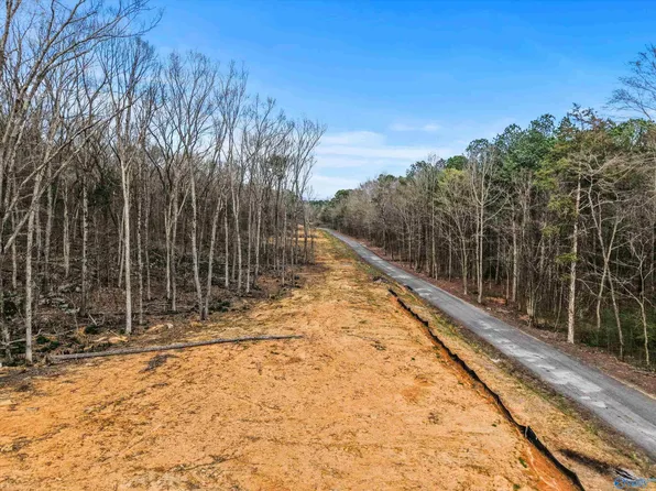 LOT-900-B Nine County Rd #114, Scottsboro, AL 35769