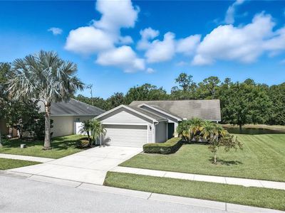 6133 Evansbrook Dr, Zephyrhills, FL, 33541