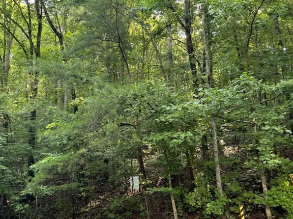 167 Laurel Lake Cir, Madisonville, TN 37354